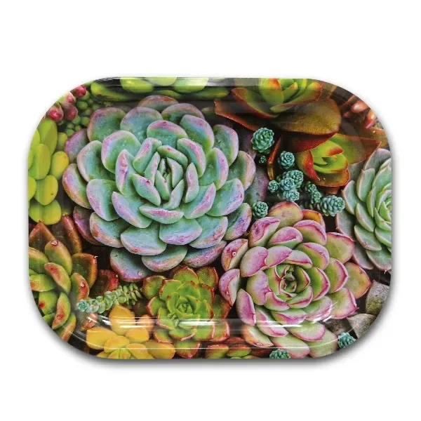 Bandeja rectangular para liar con esquinas redondeadas y bordes elevados, decorada con suculentas verdes y rosadas en forma de roseta.