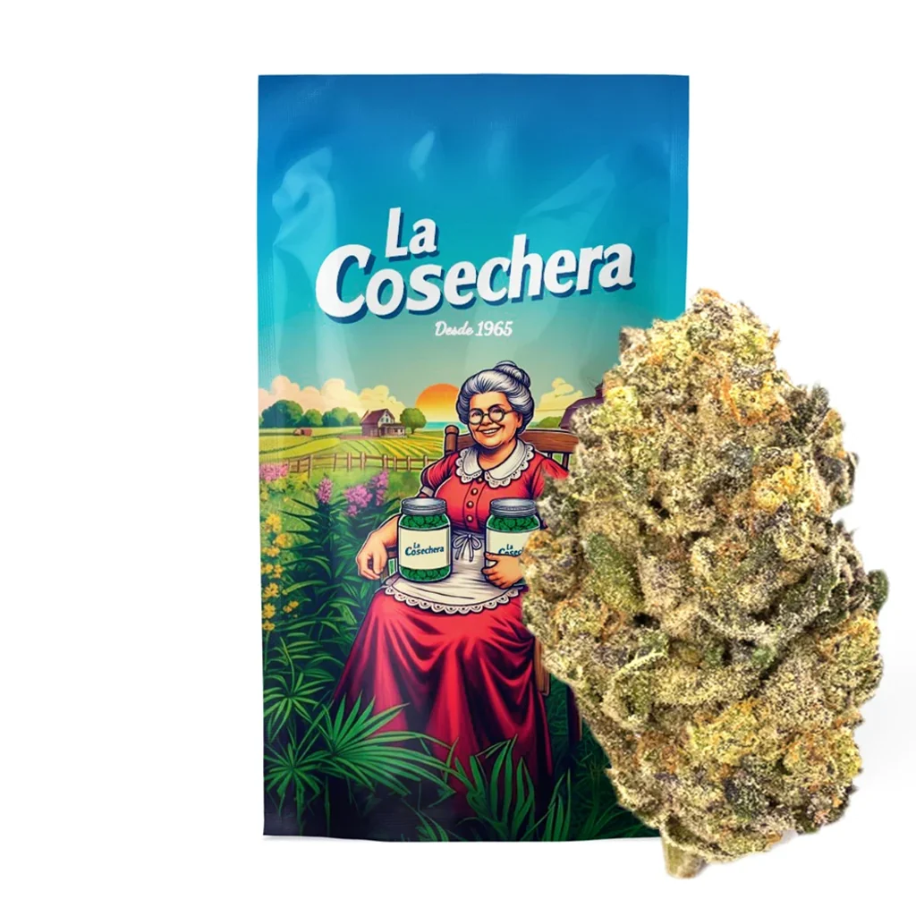 Cogollo en primer plano junto a una bolsa La Cosechera, ilustrada con una mujer mayor que sostiene dos tarros en un entorno de cultivo.