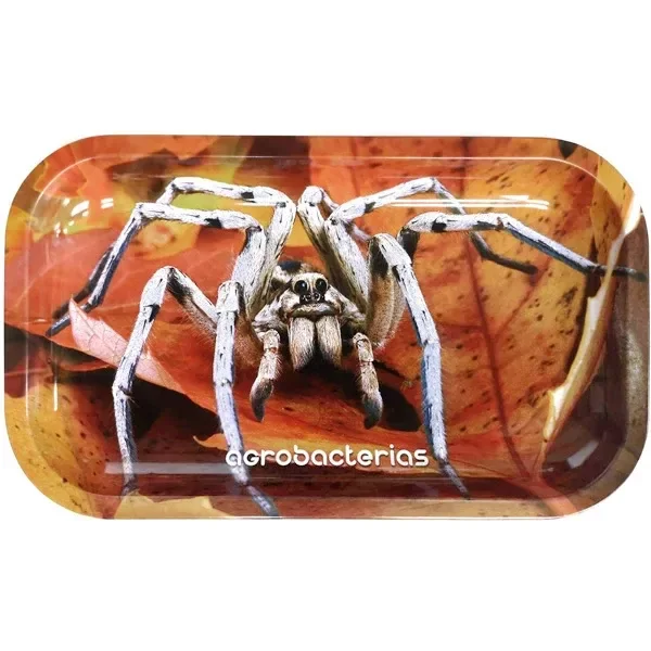 Bandeja rectangular de esquinas redondeadas con una gran araña sobre hojas otoñales y el texto «agrobacterias» en el borde inferior.