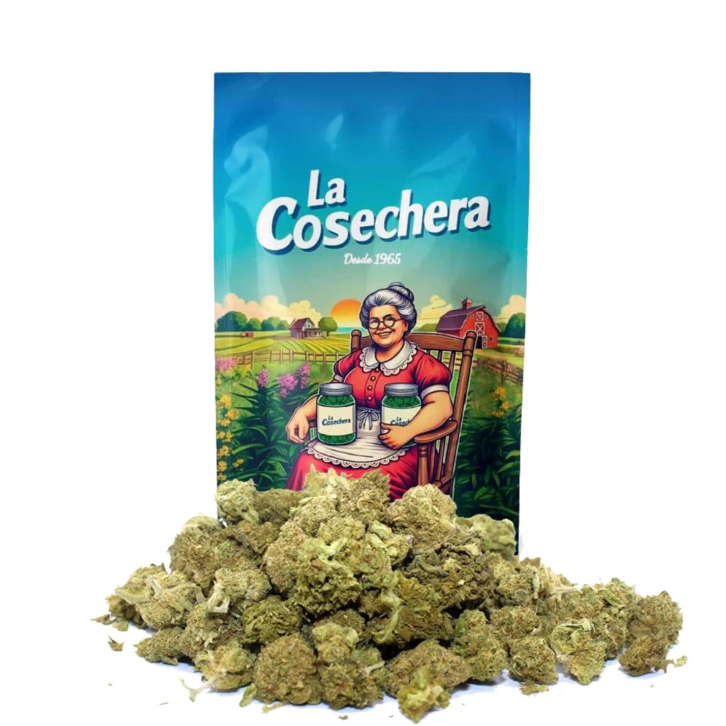 Cogollos de La Cosechera Small Buds Amnesia ante una bolsa ilustrada con una mujer sentada y un paisaje rural.