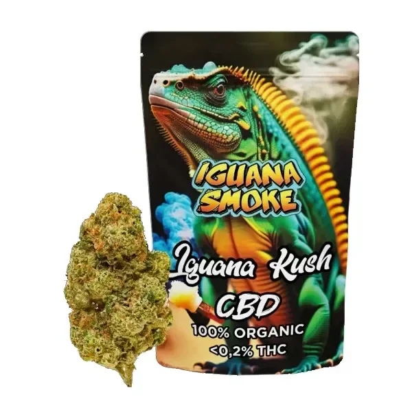 Bolsa Iguana Smoke Iguana Kush CBD con una iguana ilustrada y un cogollo delante, sobre fondo blanco.