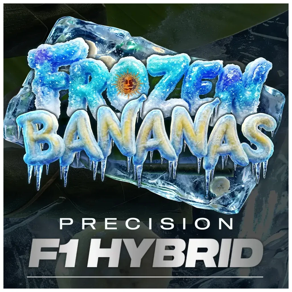 Diseño de Frozen Bananas con letras azules y amarillas cubiertas de escarcha, carámbanos y el texto «Precision F1 Hybrid» sobre fondo oscuro.