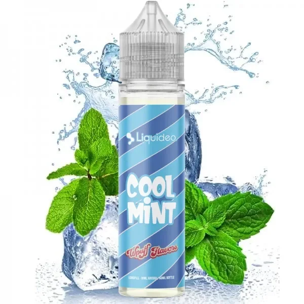 Frasco Liquideo Wpuff Flavors Cool Mint con etiqueta azul, rodeado de hojas de menta, cubitos de hielo y salpicaduras de agua.