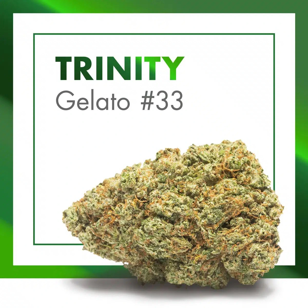 Cogollo de TRINITY Gelato 33 en primer plano, verde con filamentos naranjas, ante un marco verde y el texto TRINITY Gelato #33.