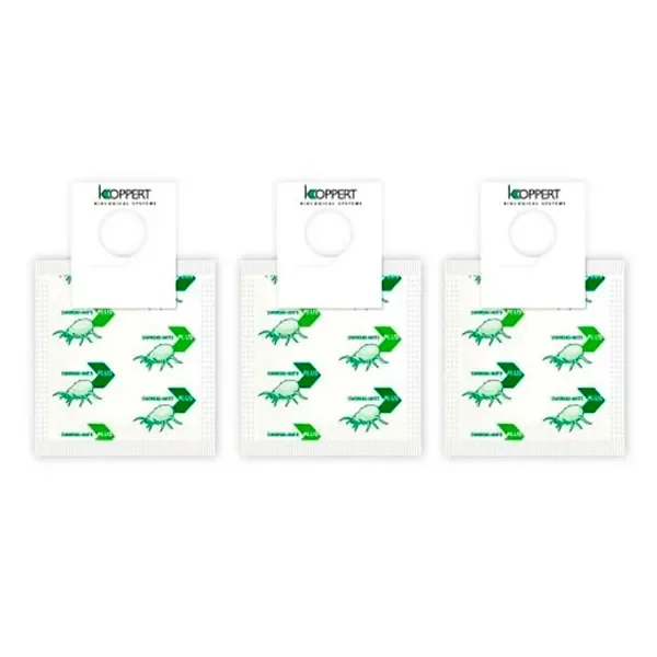 Tres sobres blancos de Amblyseius swirskii con dibujos verdes de ácaros y pestañas superiores de Koppert con orificio para colgar.