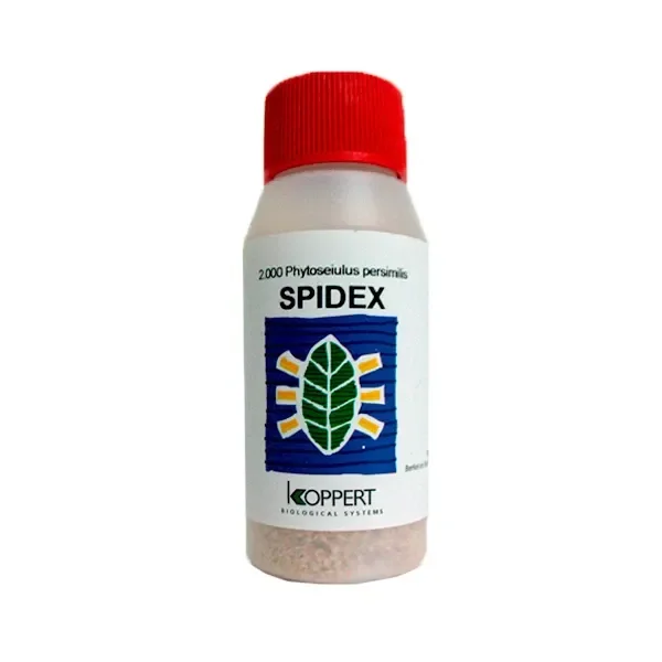 Bote de Spidex con tapón rojo y etiqueta de Koppert que indica 2000 Phytoseiulus persimilis, sobre fondo blanco.