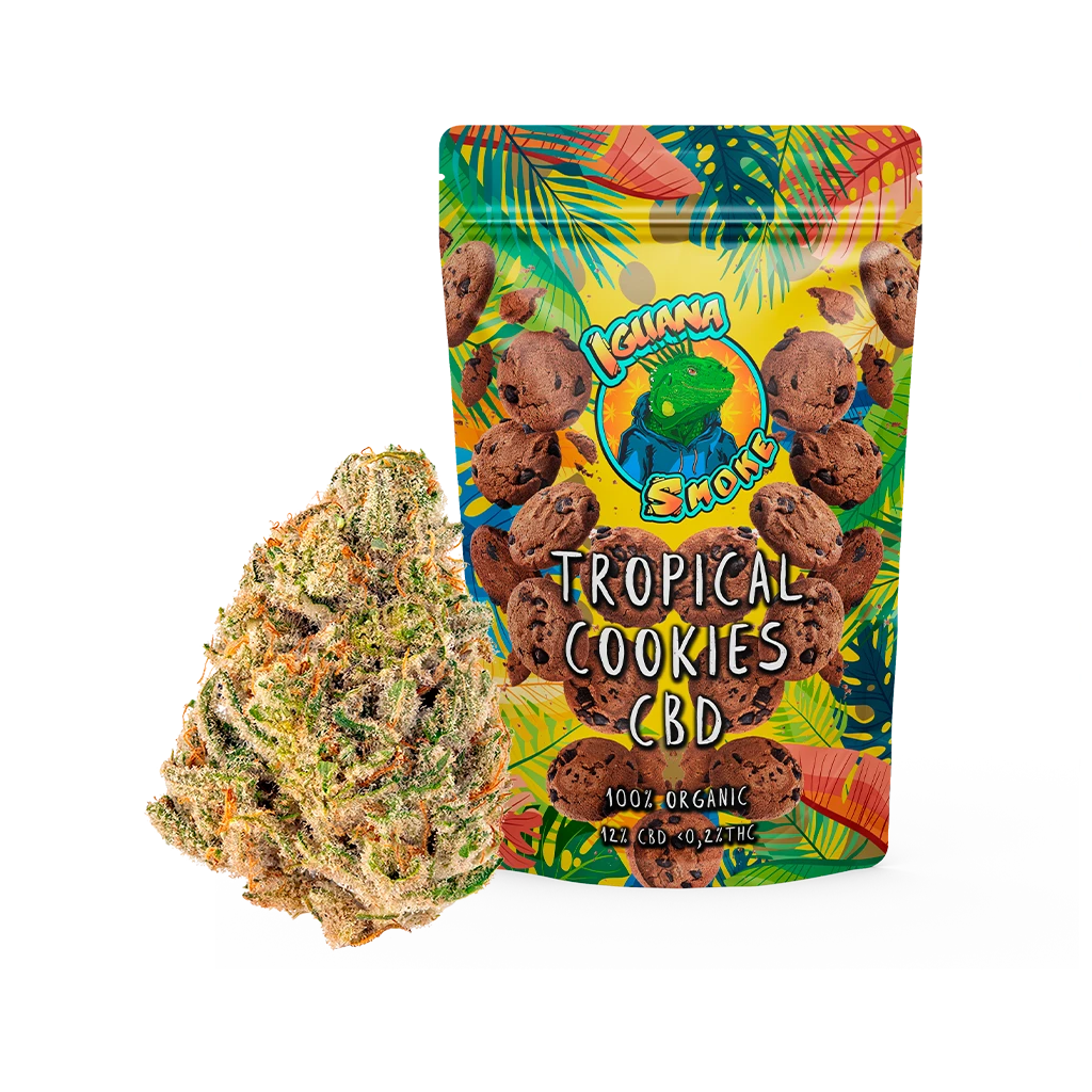 Cogollo junto a una bolsa Tropical Cookies CBD de Iguana Smoke, decorada con galletas, hojas tropicales y una iguana sobre fondo negro.
