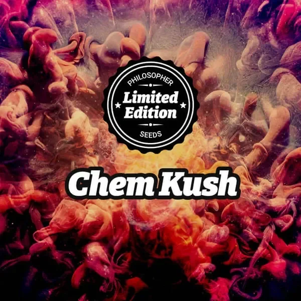 Diseño de Chem Kush con sello Limited Edition de Philosopher Seeds sobre un fondo abstracto rojo, naranja y violeta.