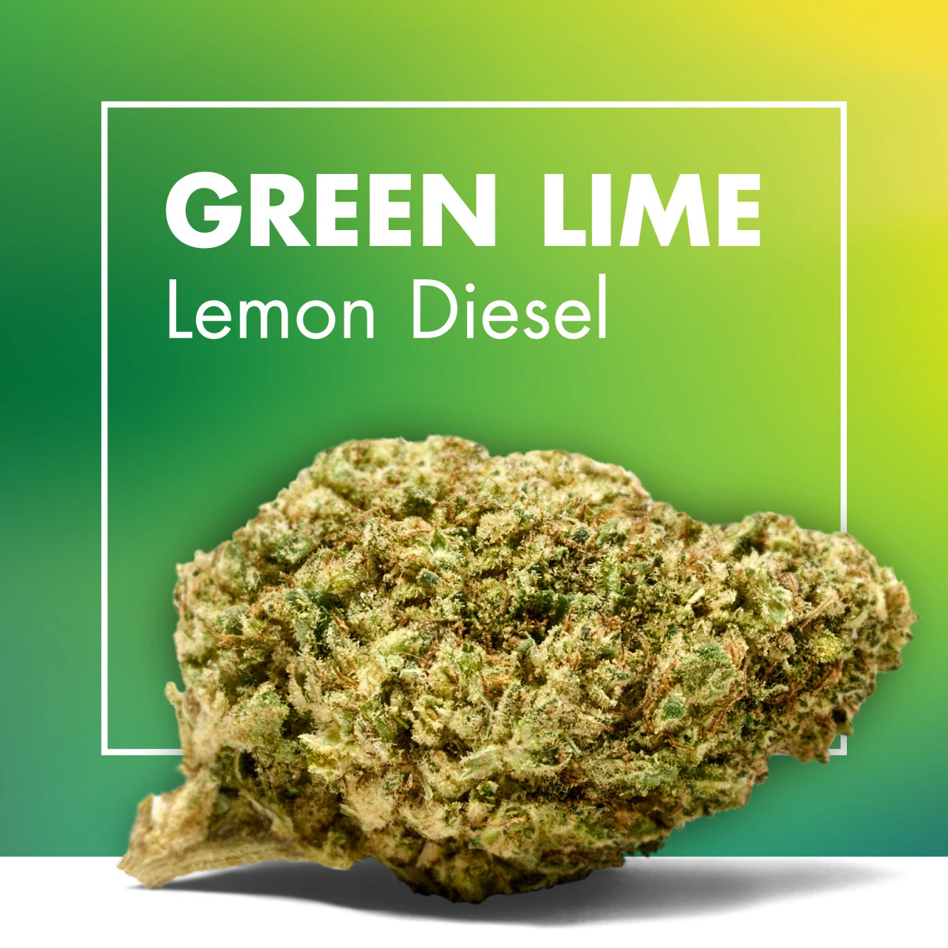 Cogollo de GREEN LIME Lemon Diesel en primer plano sobre fondo degradado verde y amarillo, con el nombre en letras blancas.