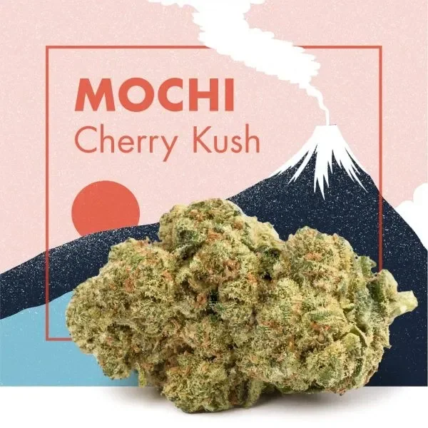 Cogollo de MOCHI Cherry Kush en primer plano sobre un fondo ilustrado con montaña nevada, sol rojo y el nombre de la variedad.