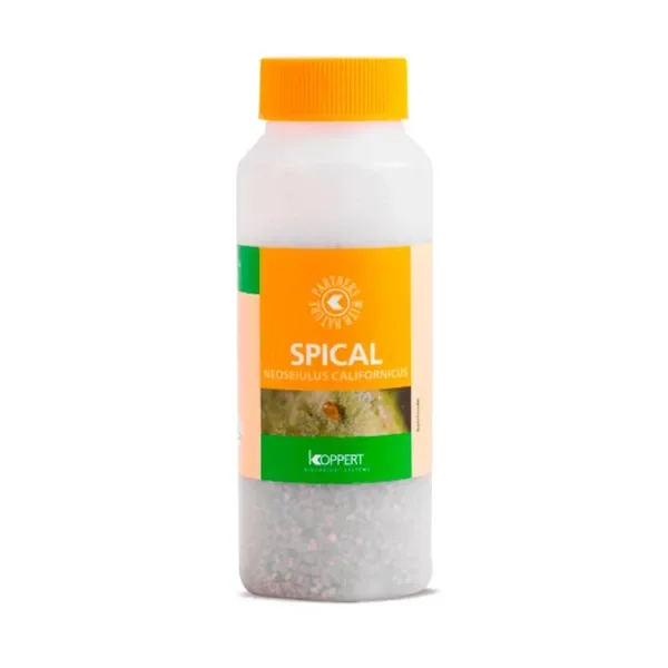 Bote translúcido de Spical con tapón amarillo y etiqueta naranja y verde que indica Neoseiulus californicus, sobre fondo blanco.