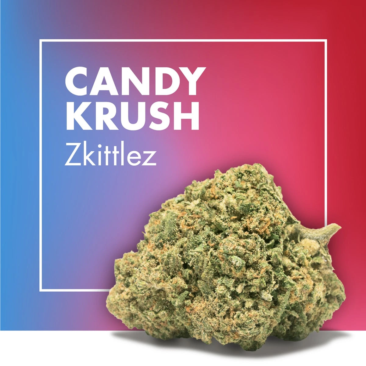 Cogollo verde en primer plano sobre fondo degradado azul y rojo, con un marco blanco y el texto Candy Krush Zkittlez. Cogollo verde en primer plano sobre fondo degradado azul y rojo, con un marco blanco y el texto Candy Krush Zkittlez.