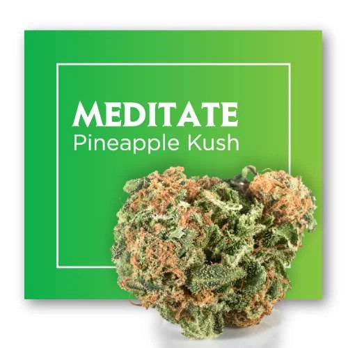 Cogollo de Meditate Pineapple Kush en primer plano, con tonos verdes y filamentos anaranjados, ante un fondo verde con su nombre.