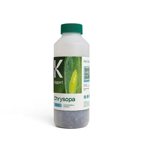 Bote de Chrysopa de Koppert con tapón verde, etiqueta con una crisopa sobre una hoja y material granulado visible en la base.