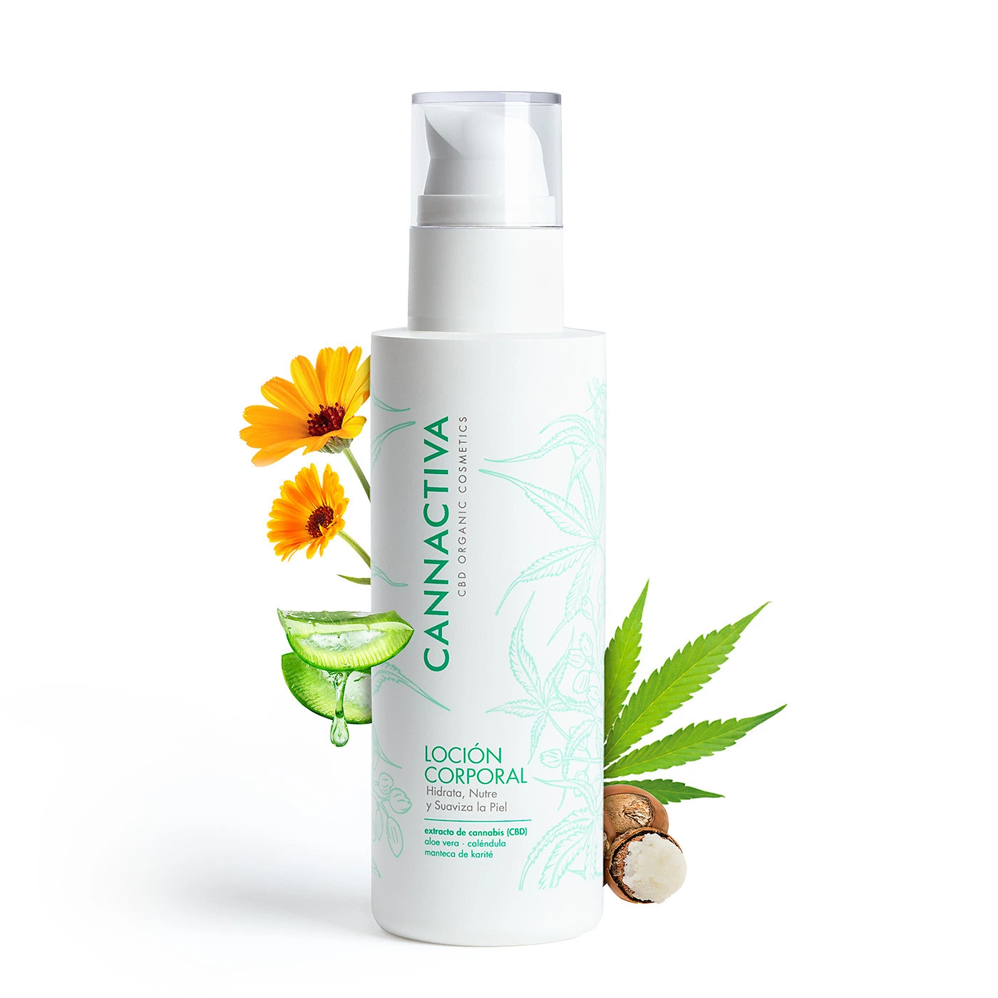 Loción corporal Cannactiva en frasco blanco con dosificador, junto a flores amarillas, aloe cortado, hojas de cannabis y nueces abiertas.