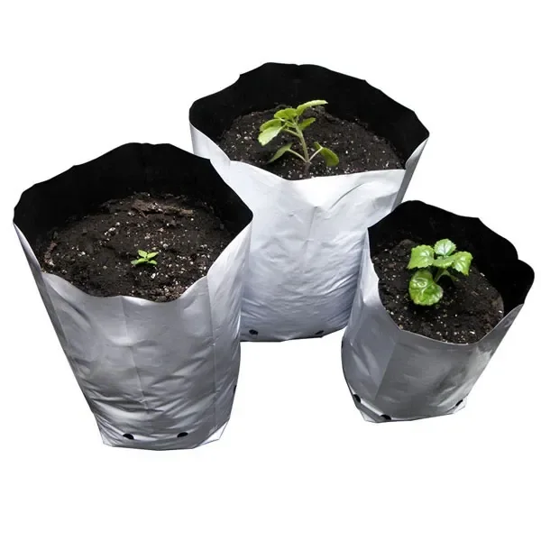 Varias bolsas de cultivo blancas con interior negro, llenas de tierra y con plantas pequeñas, dispuestas sobre fondo blanco.