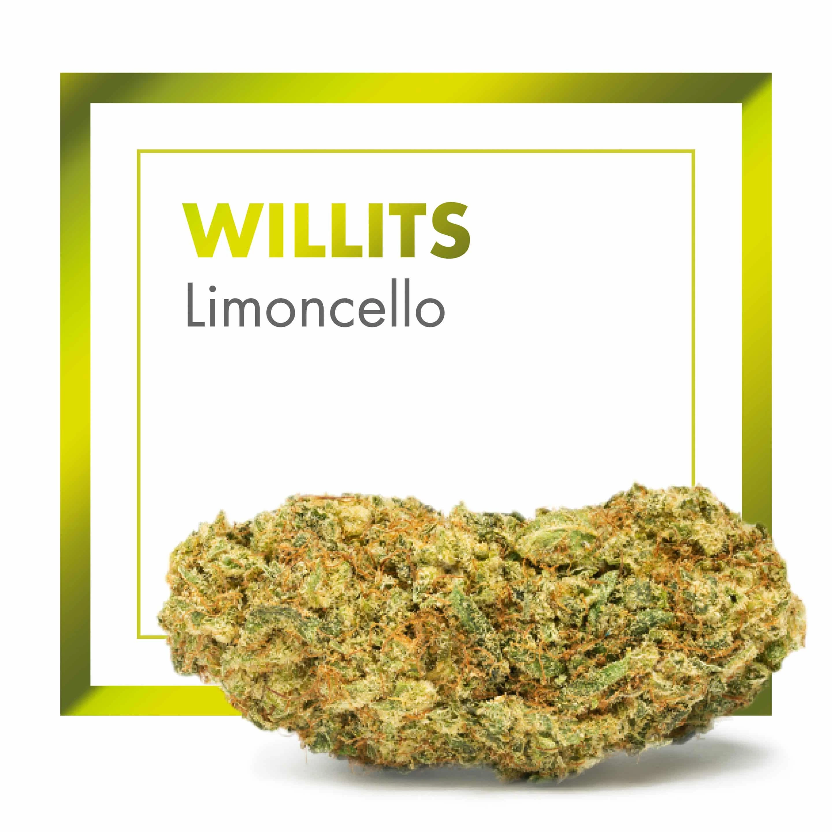Cogollo alargado de tonos verdes y dorados bajo el texto WILLITS Limoncello, con un marco verde y amarillo sobre fondo blanco.