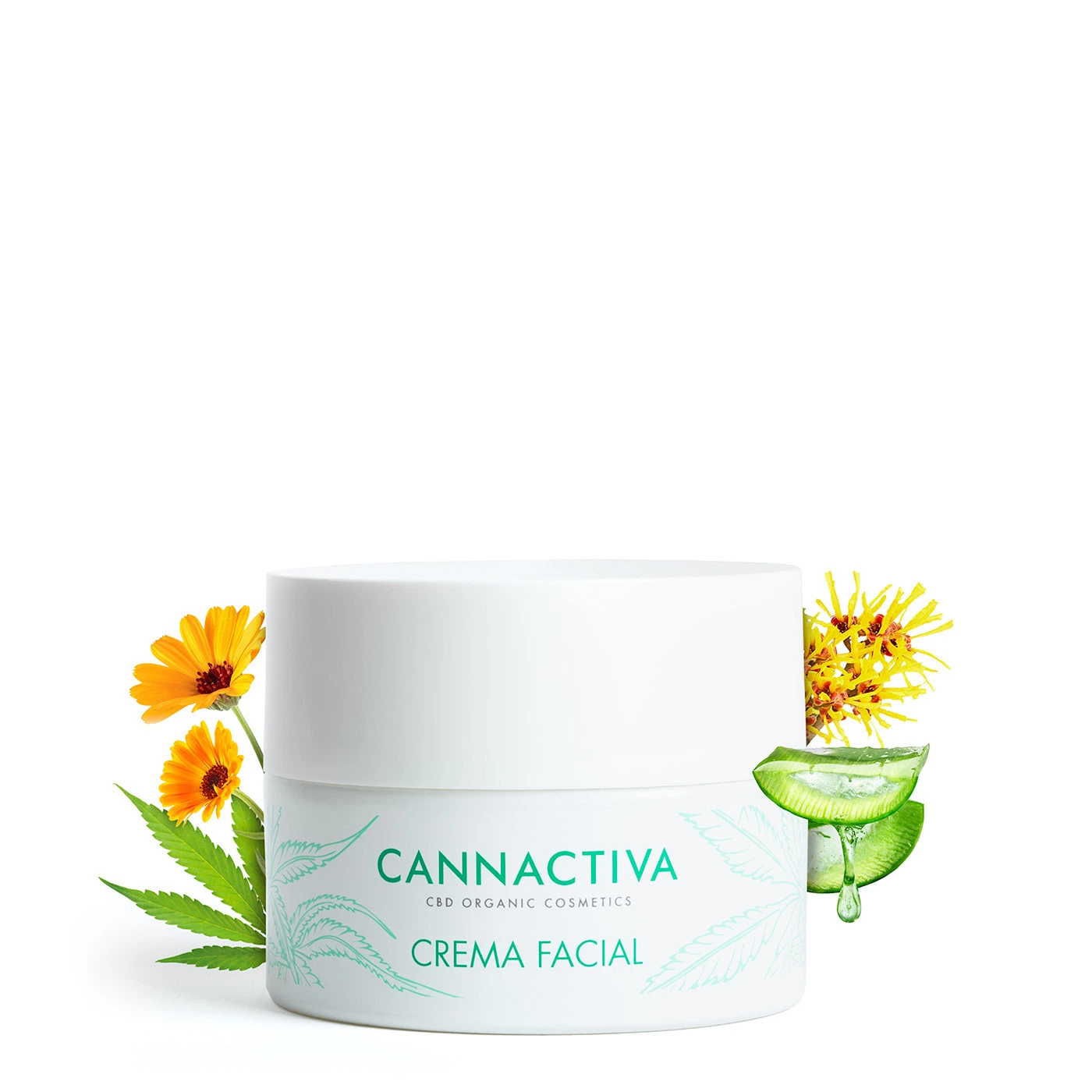 Tarro blanco de crema facial Cannactiva con letras verdes, rodeado de flores amarillas y naranjas, hojas y aloe cortado.