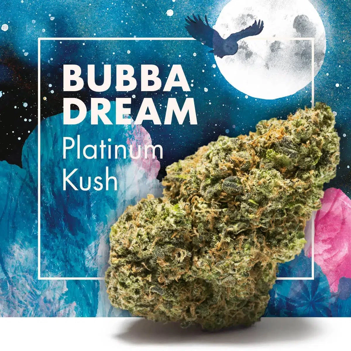 Cogollo de BUBBA DREAM Platinum Kush ante un fondo azul con luna llena, un ave en silueta y el nombre de la variedad.