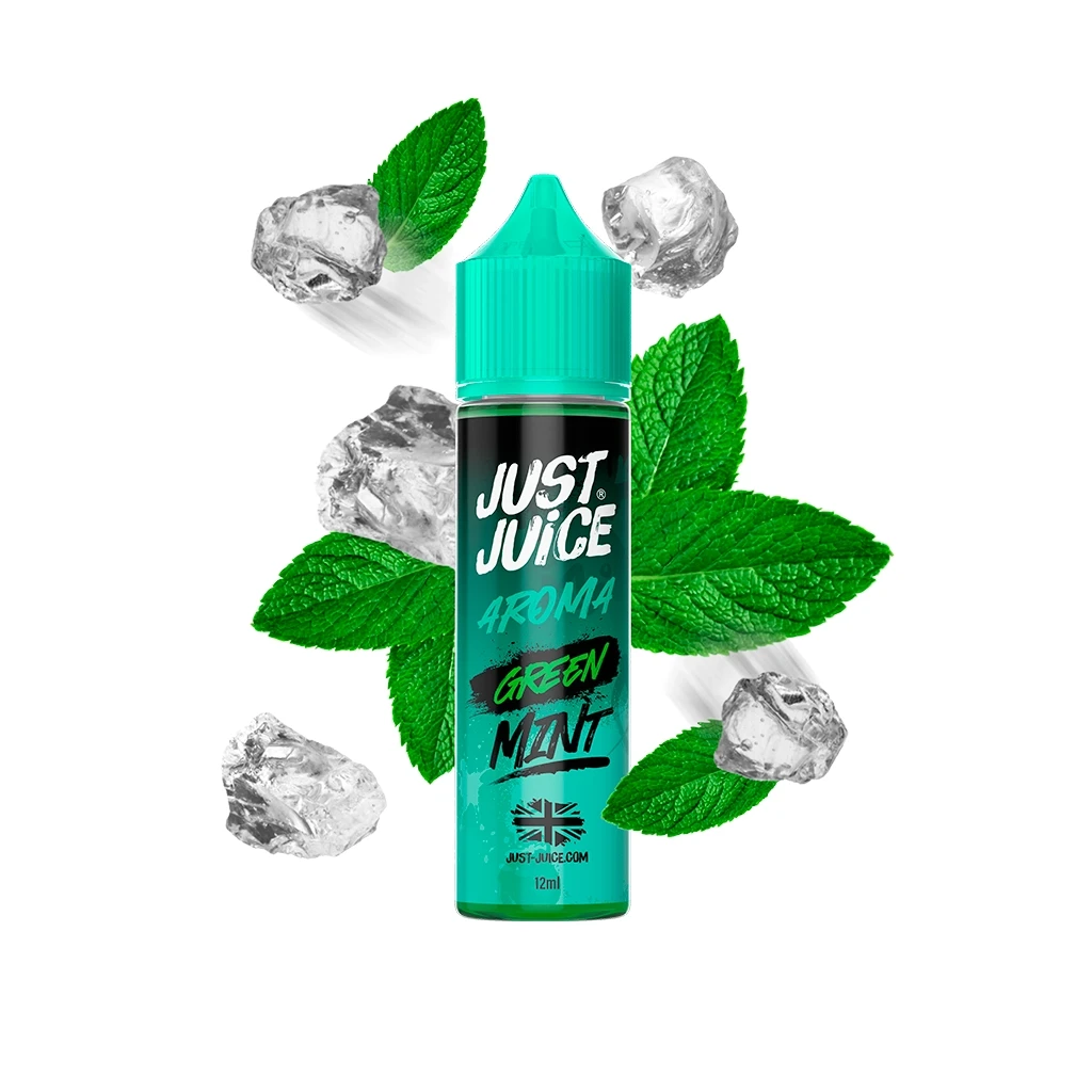 Bote Just Juice Green Mint de 12 ml con tapón turquesa, rodeado de hojas de menta y cubitos de hielo sobre fondo blanco.