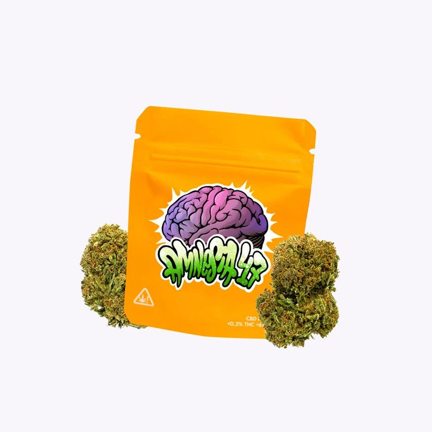 Bolsa naranja de Amnesia 47 con un cerebro morado y letras verdes, flanqueada por cogollos sobre fondo claro.