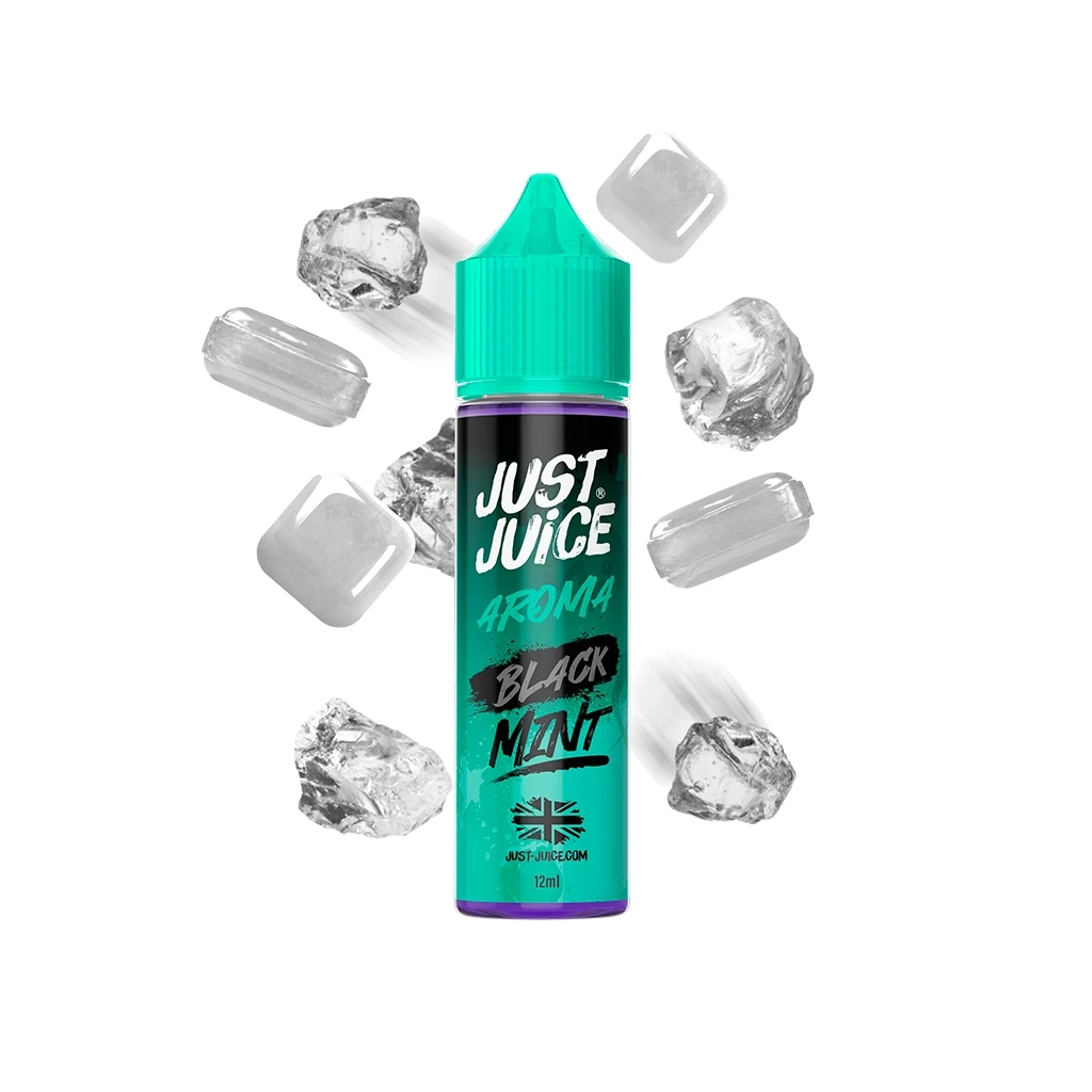 Frasco de Just Juice Black Mint con tapón verde turquesa y etiqueta negra y verde, rodeado de cubitos de hielo sobre fondo blanco.