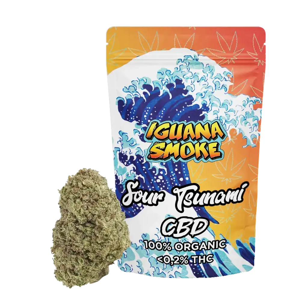 Cogollo junto a una bolsa de Sour Tsunami CBD de Iguana Smoke, decorada con olas azules y los textos 100% Organic y menos del 0,2% THC.