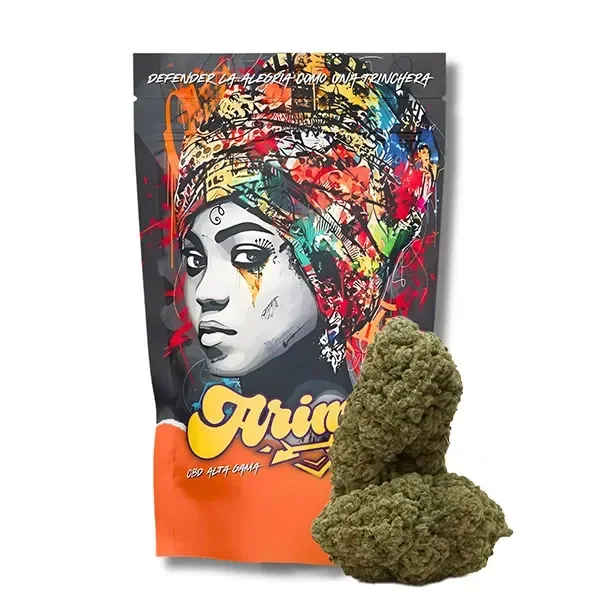Bolsa Arima London Pound con retrato de una mujer con turbante multicolor y cogollos verdes en primer plano sobre fondo blanco.