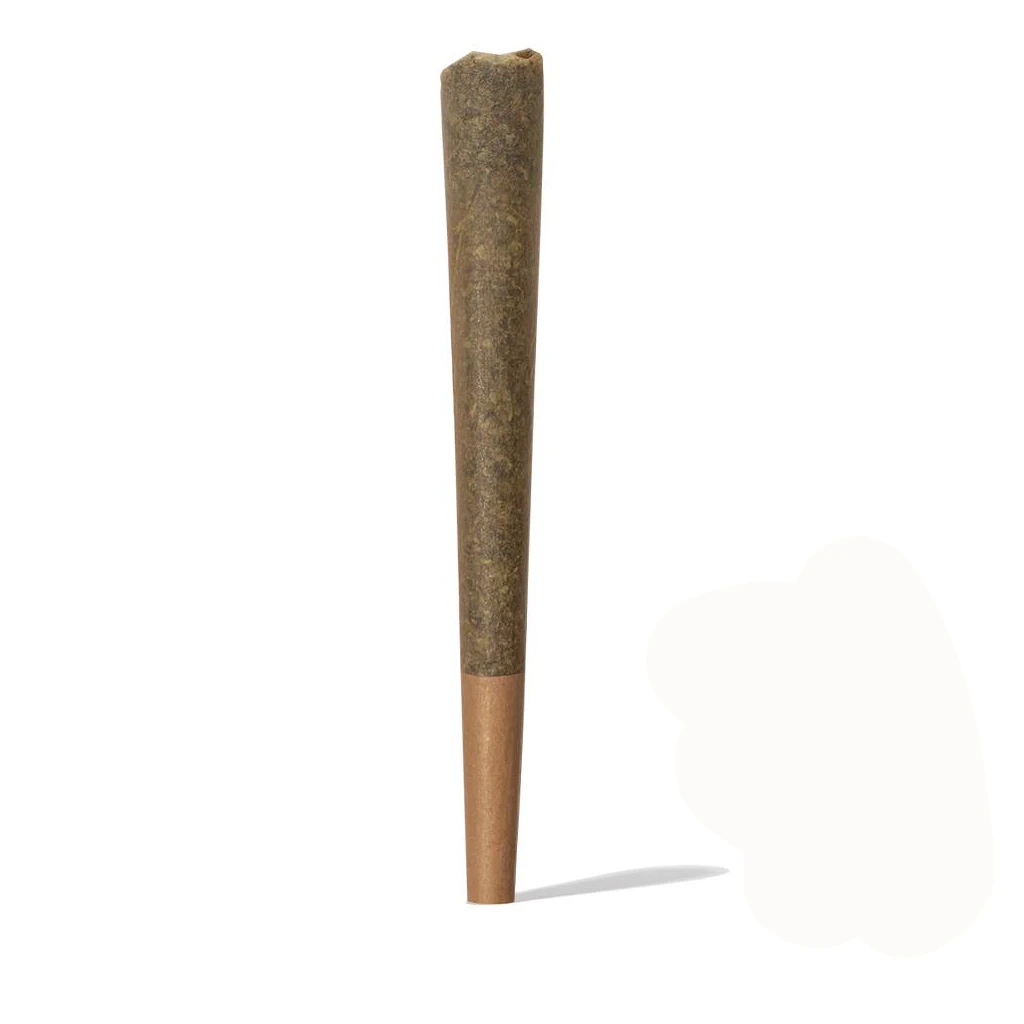 Pre roll de CBD Iguana Smoke en forma de cono, colocado verticalmente, con envoltura marrón y boquilla de cartón sobre fondo blanco.
