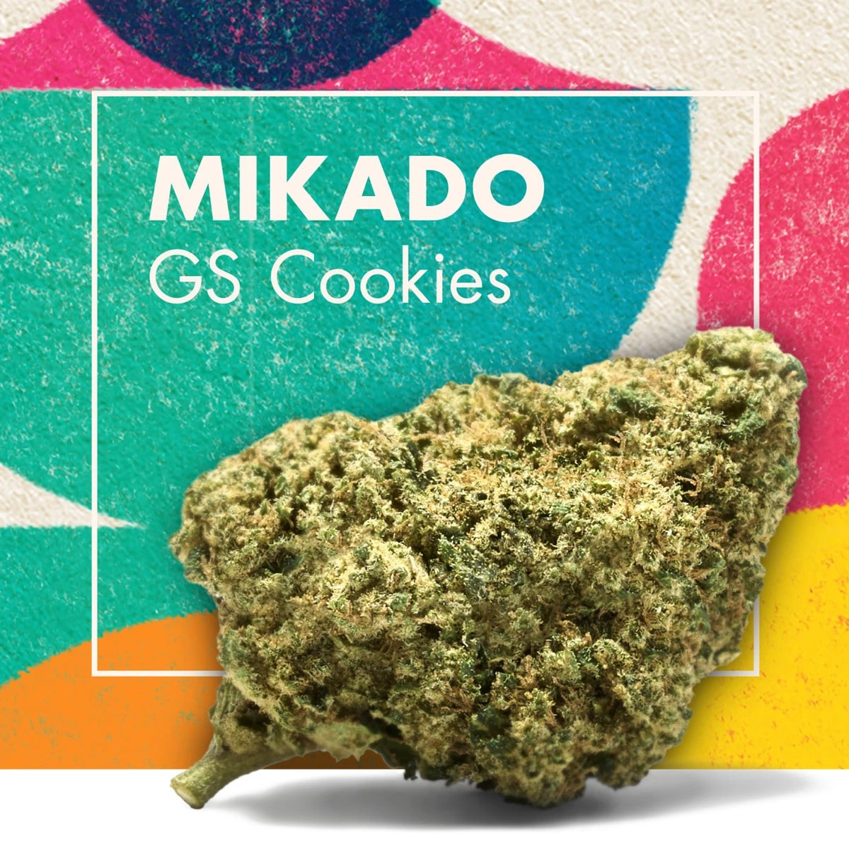 Cogollo de MIKADO Girl Scout Cookies sobre fondo de formas multicolores, con el texto «MIKADO GS Cookies» en blanco.
