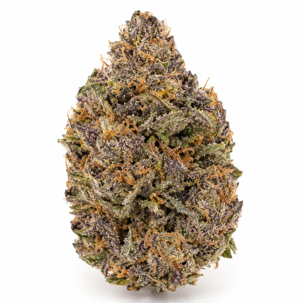 Ilustración de un cogollo con tonos verdes y morados y filamentos anaranjados para la ficha de Purple Punch Auto de High Speed Buds.