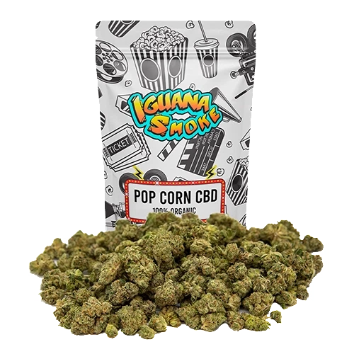 Bolsa Iguana Smoke con texto «Pop Corn CBD» y dibujos de cine, detrás de un montón de pequeños cogollos verdes sobre fondo negro. Bolsa Iguana Smoke con texto «Pop Corn CBD» y dibujos de cine, detrás de un montón de pequeños cogollos verdes sobre fondo negro.