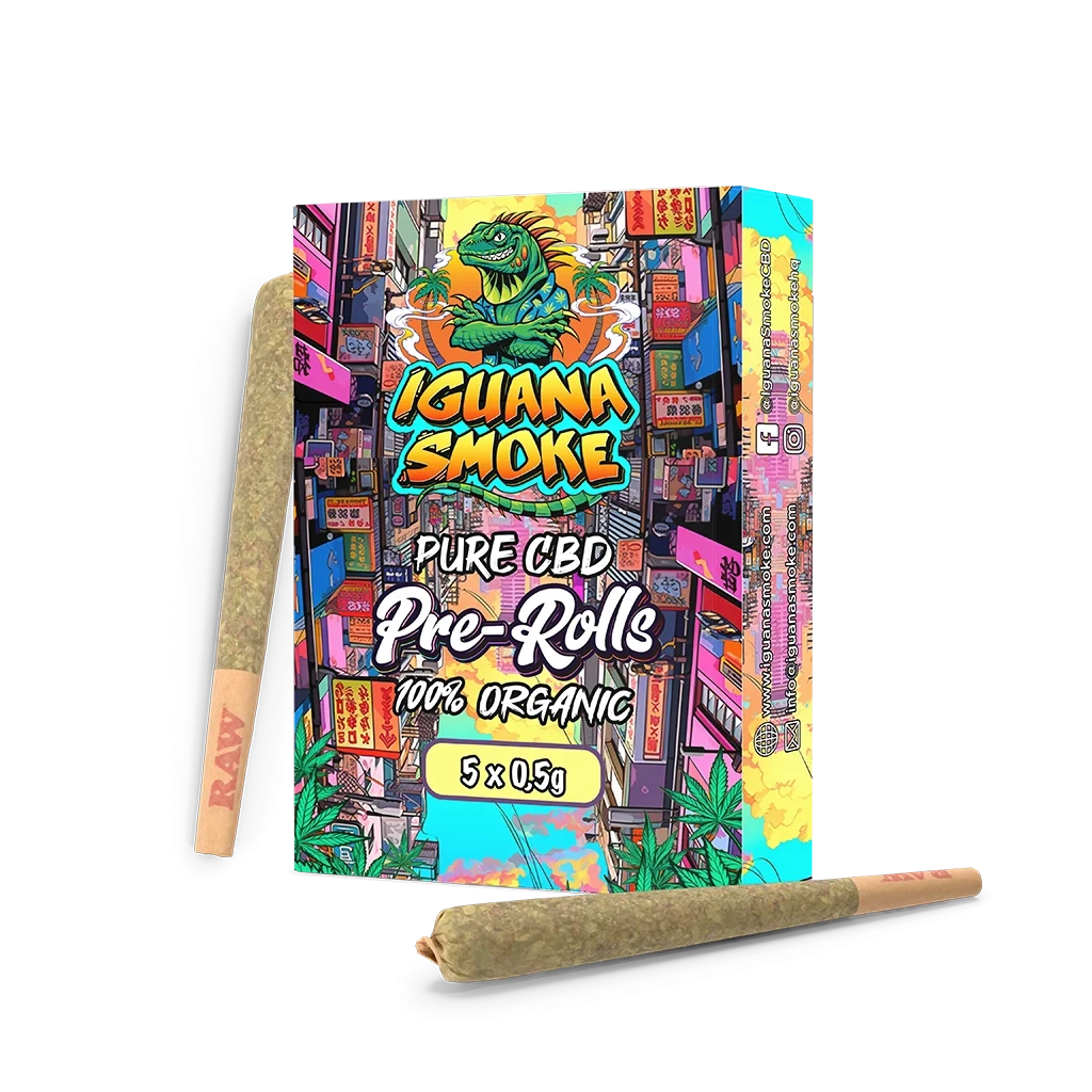Caja multicolor de pre rolls Iguana Smoke con una iguana ilustrada y varios conos de papel sobre fondo negro.