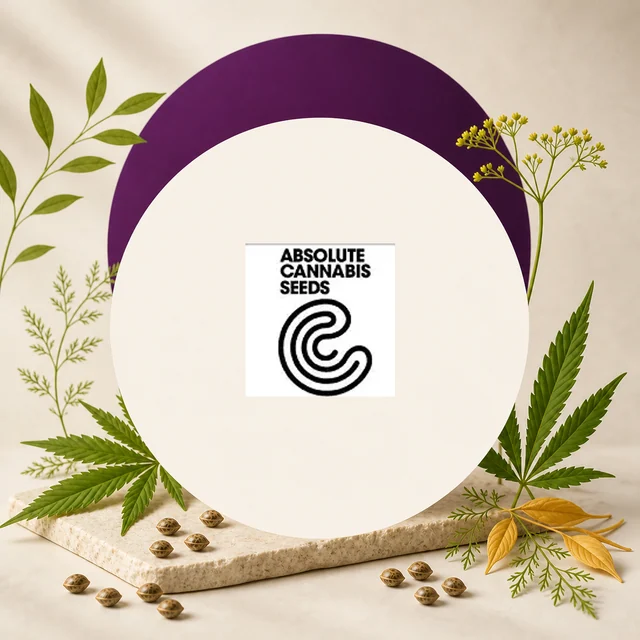 Logotipo negro de Absolute Cannabis Seeds sobre un recuadro blanco, centrado en un círculo crema entre hojas de cannabis y semillas. Logotipo negro de Absolute Cannabis Seeds sobre un recuadro blanco, centrado en un círculo crema entre hojas de cannabis y semillas.