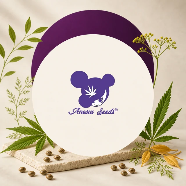 Logotipo morado de Anesia Seeds en un círculo claro, rodeado de hojas de cannabis, ramas y semillas sobre una base beige. Logotipo morado de Anesia Seeds en un círculo claro, rodeado de hojas de cannabis, ramas y semillas sobre una base beige.