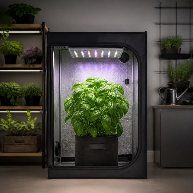 Armario de cultivo negro abierto, con interior reflectante, panel de luz superior y una planta de hojas verdes en maceta de tela. Armario de cultivo negro abierto, con interior reflectante, panel de luz superior y una planta de hojas verdes en maceta de tela.