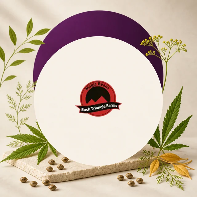 Logotipo rojo y negro de Bask Triangle Farms sobre un círculo crema, rodeado de hojas de cannabis, semillas y un arco morado. Logotipo rojo y negro de Bask Triangle Farms sobre un círculo crema, rodeado de hojas de cannabis, semillas y un arco morado.