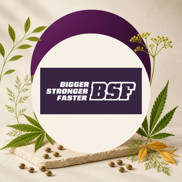 Logotipo BSF con el texto «Bigger Stronger Faster» sobre fondo morado, rodeado de hojas de cannabis y semillas. Logotipo BSF con el texto «Bigger Stronger Faster» sobre fondo morado, rodeado de hojas de cannabis y semillas.