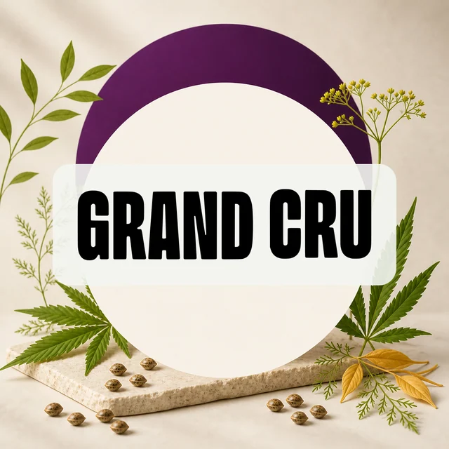Texto GRAND CRU en negro sobre un círculo claro con arco morado, rodeado de hojas de cannabis, ramas y semillas.