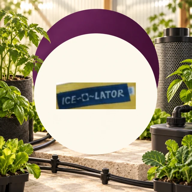 Rótulo «ICE-O-LATOR» sobre un círculo blanco con borde morado, rodeado de plantas, tubos de riego y equipos de cultivo. Rótulo «ICE-O-LATOR» sobre un círculo blanco con borde morado, rodeado de plantas, tubos de riego y equipos de cultivo.