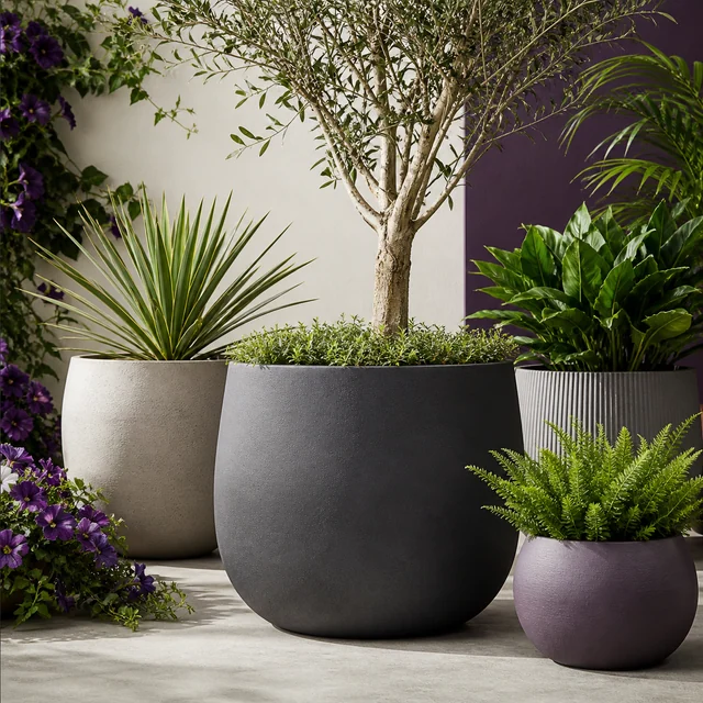 Selección de macetas de distintas formas y colores con un árbol central, plantas de hojas puntiagudas y un helecho. Selección de macetas de distintas formas y colores con un árbol central, plantas de hojas puntiagudas y un helecho.