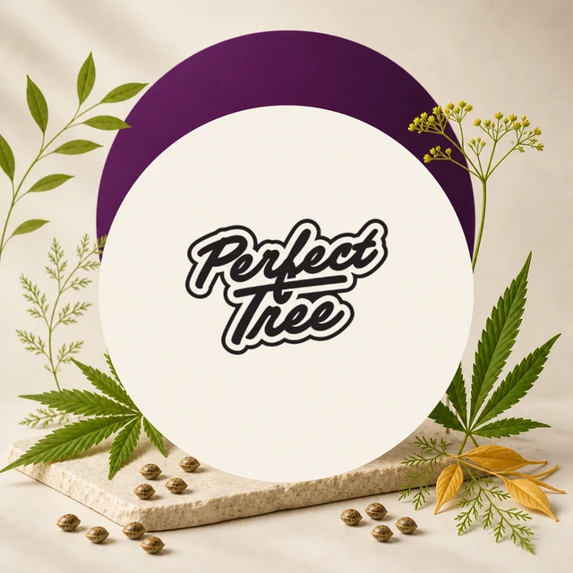 Logotipo «Perfect Tree» en un círculo crema con arco morado, rodeado de hojas de cannabis, ramas y semillas sobre una base clara. Logotipo «Perfect Tree» en un círculo crema con arco morado, rodeado de hojas de cannabis, ramas y semillas sobre una base clara.