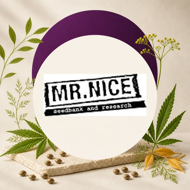 Logotipo negro de Mr. Nice con el texto «seedbank and research», rodeado de hojas de cannabis y semillas sobre una base clara. Logotipo negro de Mr. Nice con el texto «seedbank and research», rodeado de hojas de cannabis y semillas sobre una base clara.