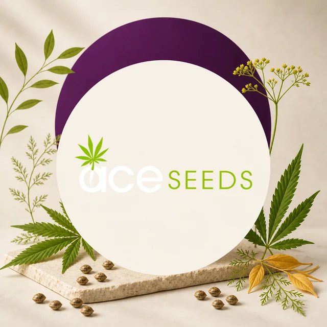 Logotipo de Ace Seeds sobre un círculo crema con arco morado, rodeado de hojas de cannabis, ramas y semillas.