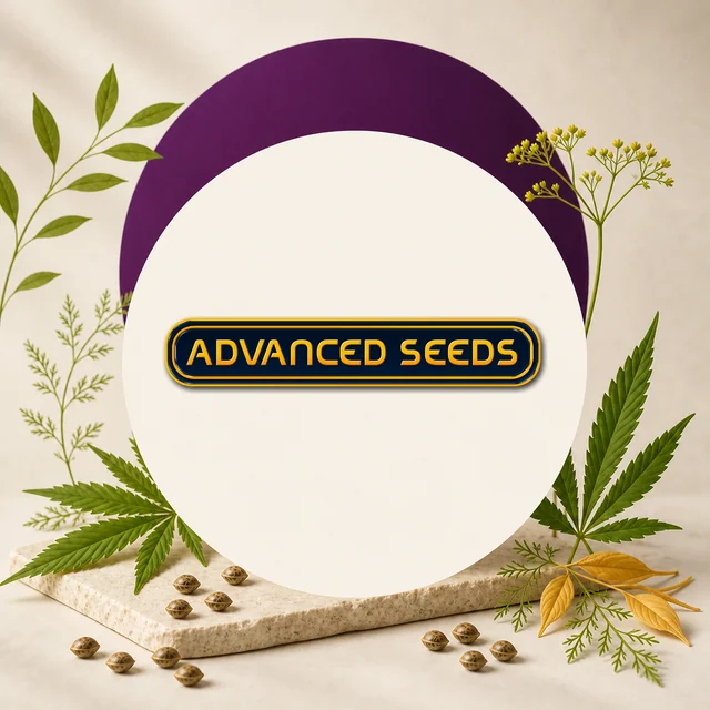 Logotipo Advanced Seeds en amarillo sobre negro, centrado en un círculo crema con fondo morado, hojas de cannabis y semillas alrededor. Logotipo Advanced Seeds en amarillo sobre negro, centrado en un círculo crema con fondo morado, hojas de cannabis y semillas alrededor.