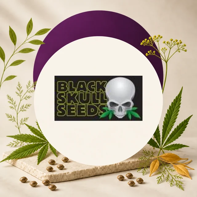 Logotipo de Black Skull Seeds con calavera blanca, enmarcado por círculos crema y morado, hojas de cannabis y semillas. Logotipo de Black Skull Seeds con calavera blanca, enmarcado por círculos crema y morado, hojas de cannabis y semillas.