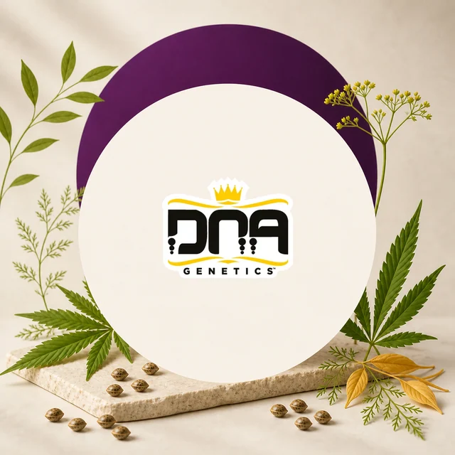 Logotipo DNA Genetics con corona amarilla sobre un círculo crema, rodeado de hojas de cannabis y semillas sobre una base clara.