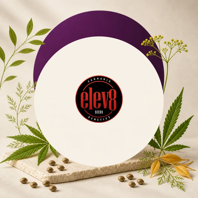 Logotipo circular negro y rojo de Elev8 Seeds sobre un fondo crema, rodeado de hojas de cannabis y semillas. Logotipo circular negro y rojo de Elev8 Seeds sobre un fondo crema, rodeado de hojas de cannabis y semillas.