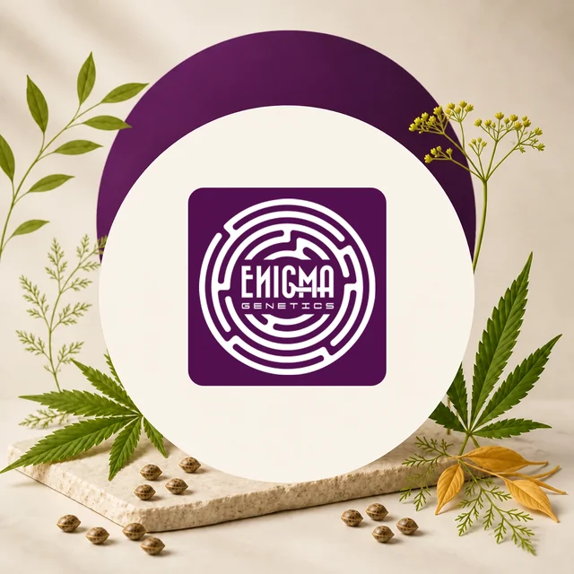 Logotipo de Enigma Genetics con un laberinto circular blanco sobre un cuadrado morado, rodeado de hojas de cannabis y semillas. Logotipo de Enigma Genetics con un laberinto circular blanco sobre un cuadrado morado, rodeado de hojas de cannabis y semillas.
