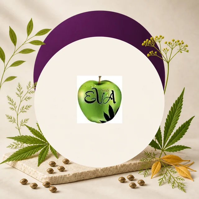 Logotipo de Eva Seeds sobre una manzana verde, en un círculo claro rodeado de hojas de cannabis, semillas y ramas decorativas. Logotipo de Eva Seeds sobre una manzana verde, en un círculo claro rodeado de hojas de cannabis, semillas y ramas decorativas.